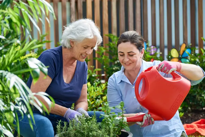 Exploring specialist dementia aged care programs