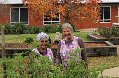 The Lavender Legends of Lourdes