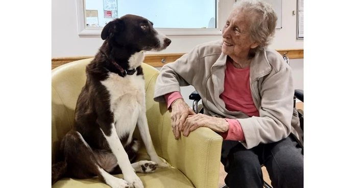 Indie the Border Collie sharing  love and licks at Holy Spirit Dubbo