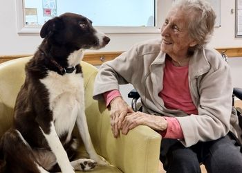 Indie (350 × 250px)